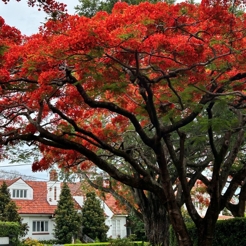 Your Property News - December 2025